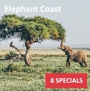 Specials - Elephant Coast