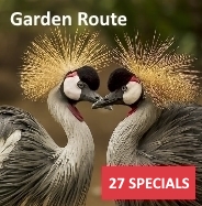 Specials - Garden Route