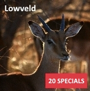 Specials - Lowveld